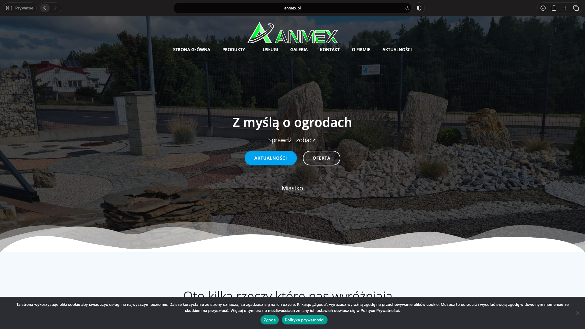 Zrzut ekranu projektu Anmex - kamienie ozdobne